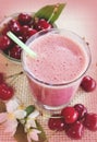 Cherry smoothie with fresh cherries. Cherry milkshake. Fresh green leaves.