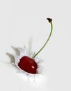 Cherry Splash