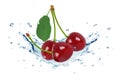 Cherry splash and water