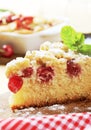 Cherry sponge cake Royalty Free Stock Photo