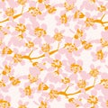 Cherry spring branch blossom flowers pattern Royalty Free Stock Photo