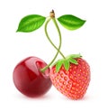 cherry and strawberry Royalty Free Stock Photo