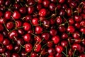 Cherry. Sweet Cherries background. Ripe Sweet Red Cherries
