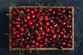 Cherry. Sweet Cherries in wooden box or crate on dark stone concrete background. Ripe Sweet Red Cherries Royalty Free Stock Photo