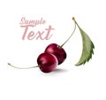 Cherry. Sweet fruit. Cherries in Love Greeting Card.