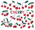 Cherry. Sweet fruit. vector icons set. Cherry isolated on the white background.