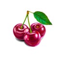 Cherry Sweet fruit
