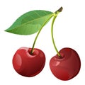 Cherry. Sweet and sour. Red. Garden fruit. Berry. Vector illustration.