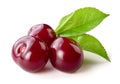 Cherry. Three berries isolated on white Royalty Free Stock Photo