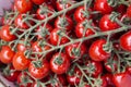 Cherry Tomato Background Royalty Free Stock Photo