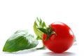 Cherry tomato with basil herb on white background