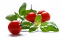 Cherry tomato with basil herb on white background Royalty Free Stock Photo