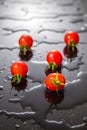 Cherry tomato on a black background with water Royalty Free Stock Photo