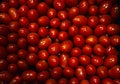 Bowl with various cherry tomatoes