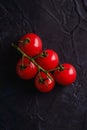 Cherry tomato branch, fresh ripe organic vegetables on dark black textured background Royalty Free Stock Photo