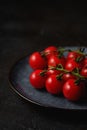 Cherry tomato branch, fresh ripe organic vegetables in grey plate on dark black textured background Royalty Free Stock Photo