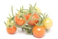 Cherry tomato branch over the white background Royalty Free Stock Photo
