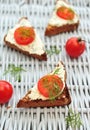 Cherry tomato bruschetta Royalty Free Stock Photo