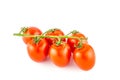 Cherry tomato bunch closeup isolated on white background Royalty Free Stock Photo