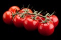 Cherry tomato bunch vegetable Royalty Free Stock Photo