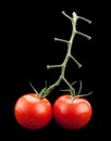 Cherry tomato bunch vegetable Royalty Free Stock Photo