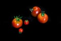 Cherry tomatoes closeup isolated on black background Royalty Free Stock Photo