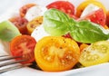 Cherry tomato, fresh basil and cheese