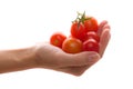 Cherry tomato in hand