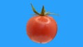 Cherry tomato twisting and spinning around on blue background, isolate, chromakey, alpha channel.