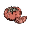 Cherry tomato. Whole tomato and part of tomato in doodle style