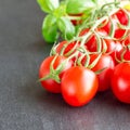 Cherry tomatoes with basil leaves on dark slate background, square format Royalty Free Stock Photo