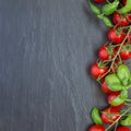 Cherry tomatoes with basil leaves on a dark slate background, to Royalty Free Stock Photo