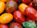 Cherry tomatoes and basil leaves in a spray of water on a wooden background. Selective focus. Local products consumption concept.