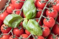 Cherry tomatoes and basil in a wooden box Royalty Free Stock Photo