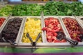 Cherry tomatoes, blackberries, pineapple chunks, strawberry, red grape trays at salad bar in USA Royalty Free Stock Photo