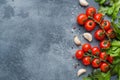 Cherry tomatoes on a branch Fresh herbs and garlic clove with spices on a dark stone table. Top view with copy space