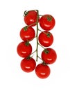 Cherry tomatoes branch. Fresh ripe tomatoes isolated on white background Royalty Free Stock Photo