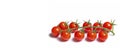 Cherry tomatoes branch isolated on white background . Red tomato. Tomatoes on a branch. Banner tomatoes. Isolated background. Royalty Free Stock Photo