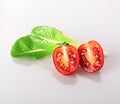 Cherry tomatoes on a branch isolated on a white white background