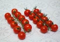 Cherry tomatoes on a branch in two rows on a table with a blanket tablecloth Royalty Free Stock Photo