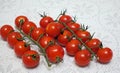 Cherry tomatoes on a branch in two rows on a table with a blanket tablecloth Royalty Free Stock Photo