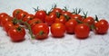 Cherry tomatoes on a branch in two rows on a table with a blanket tablecloth Royalty Free Stock Photo