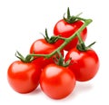 Cherry tomatoes on a branch on a white background. Isolated Royalty Free Stock Photo