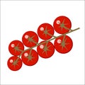 Cherry tomatoes branch on white background