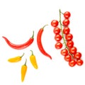 Cherry tomatoes and chili peppers isolated on white Royalty Free Stock Photo