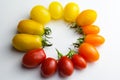 Cherry tomatoes in a circle for color nuance on white background