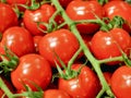 Cherry tomatoes close-up Royalty Free Stock Photo