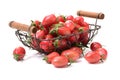 Cherry tomatoes close-up. Studio photography on a white background. Six varieties of tomatoes cherry Royalty Free Stock Photo