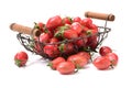 Cherry tomatoes Royalty Free Stock Photo
