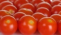 Cherry Tomatoes Closeup Royalty Free Stock Photo